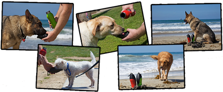 H2O4K9� Water Bottle